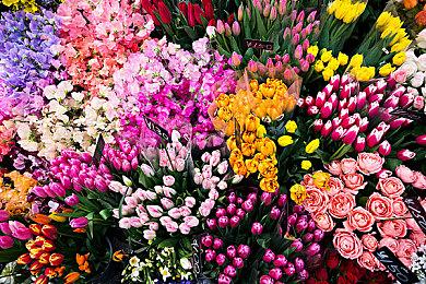 《塞尔达传说：王国之泪》被ESRB评为E级 有幻想暴力